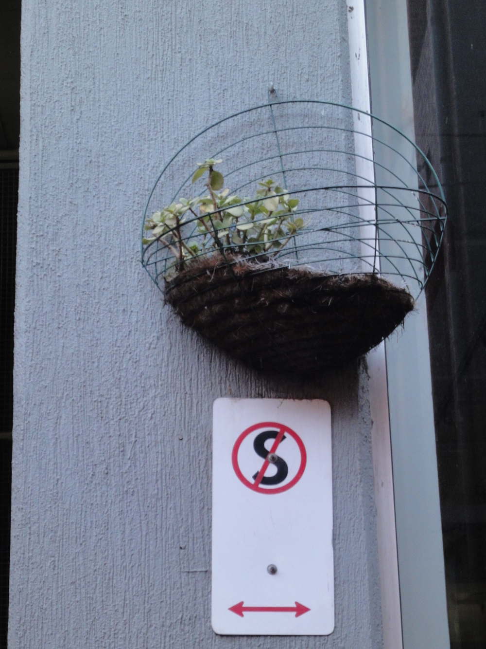 The irony of a standing plant basket in a 'no standing' zone on Hardware Lane in Melbourne, Australia.