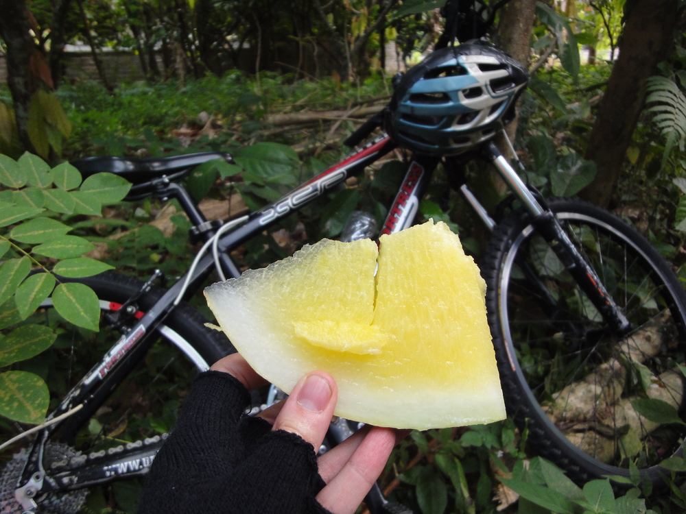 A well-earned snack during the bike ride.