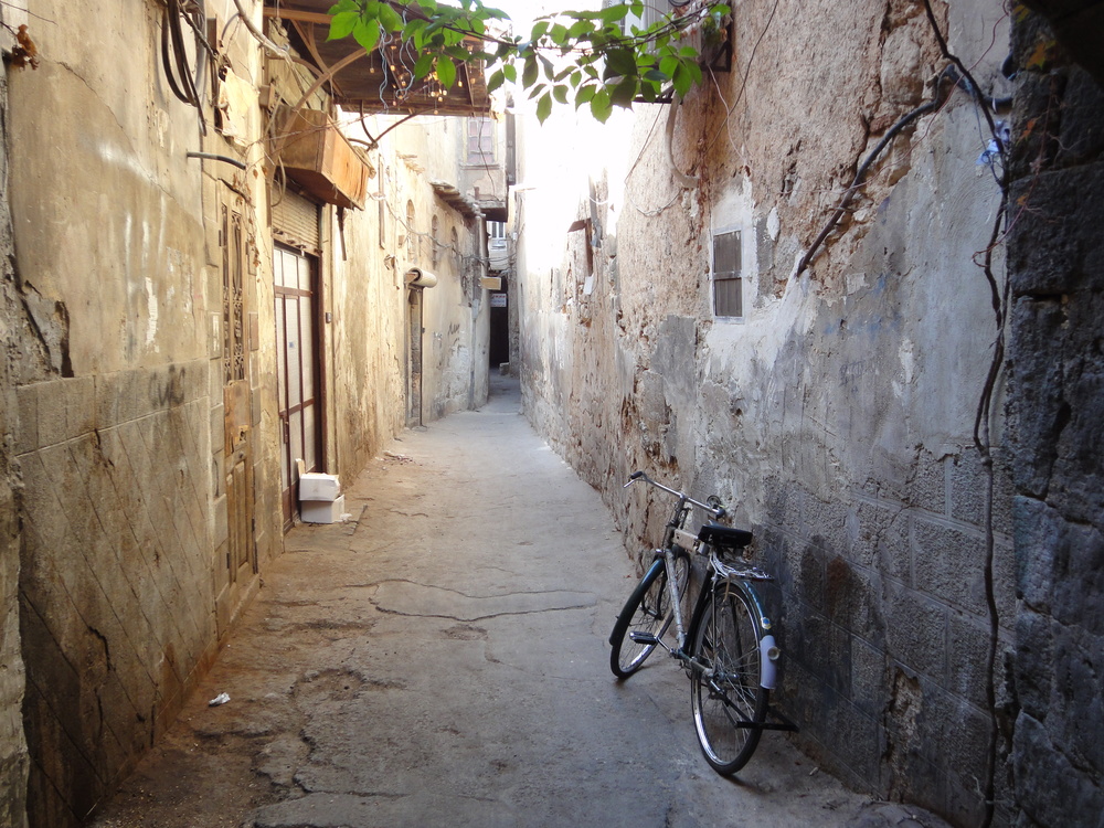 Electrical wires hang freely in Damascus, Syria alongside vines in a quiet and deserted laneway.