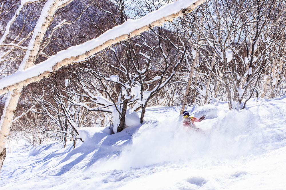 Niseko on Japan's northern island is home to some of the best powder snow in the world. Photo credit: Photo Pin