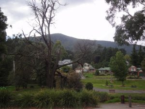 Sunday Road-Tripping and Eating Peanuts in Warburton